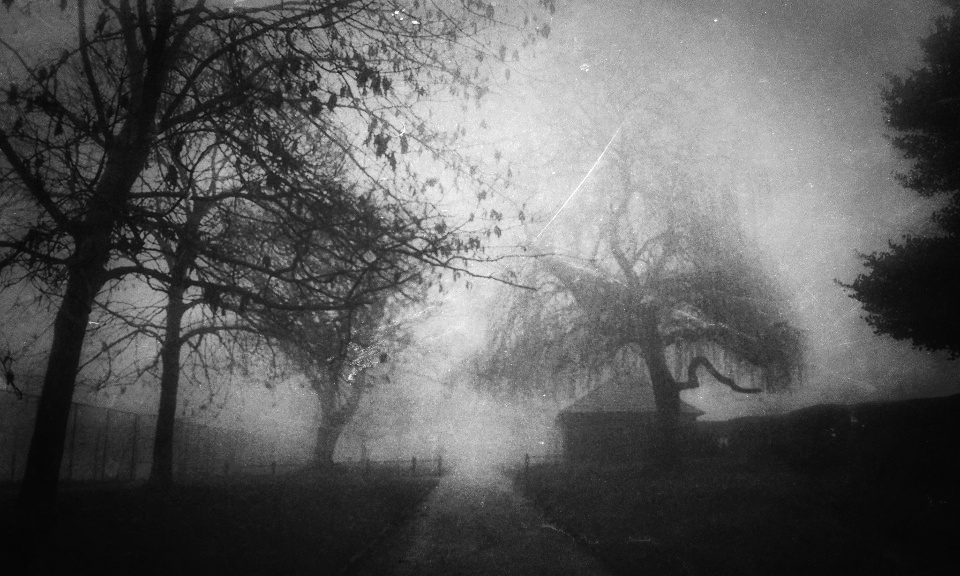 Foggy landscape path