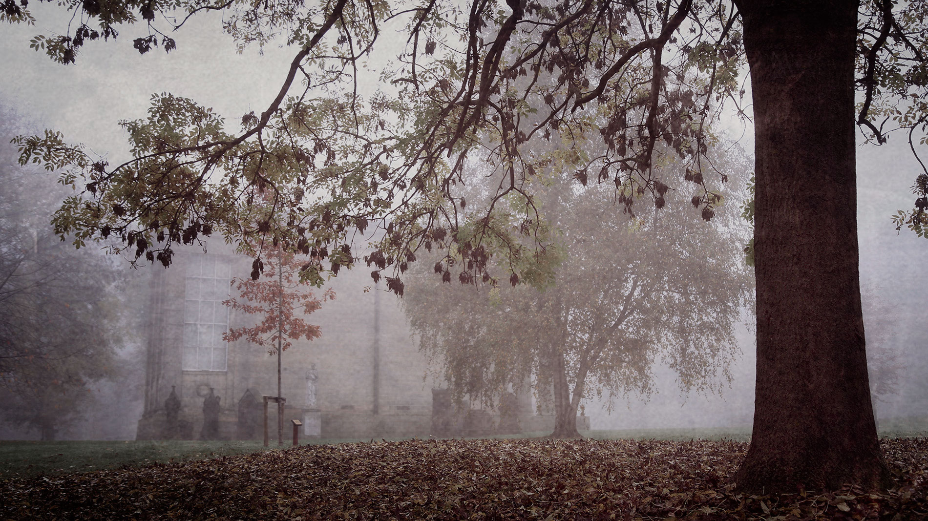 leeds-cemetery-foggy-landscape-saturation