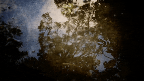 amazing-nature-reflections-awakening