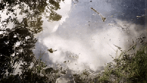 amazing-nature-reflections-hyde-park-leeds