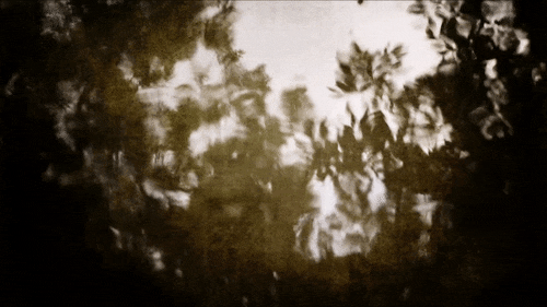 amazing-nature-requiem-for-the-awakening