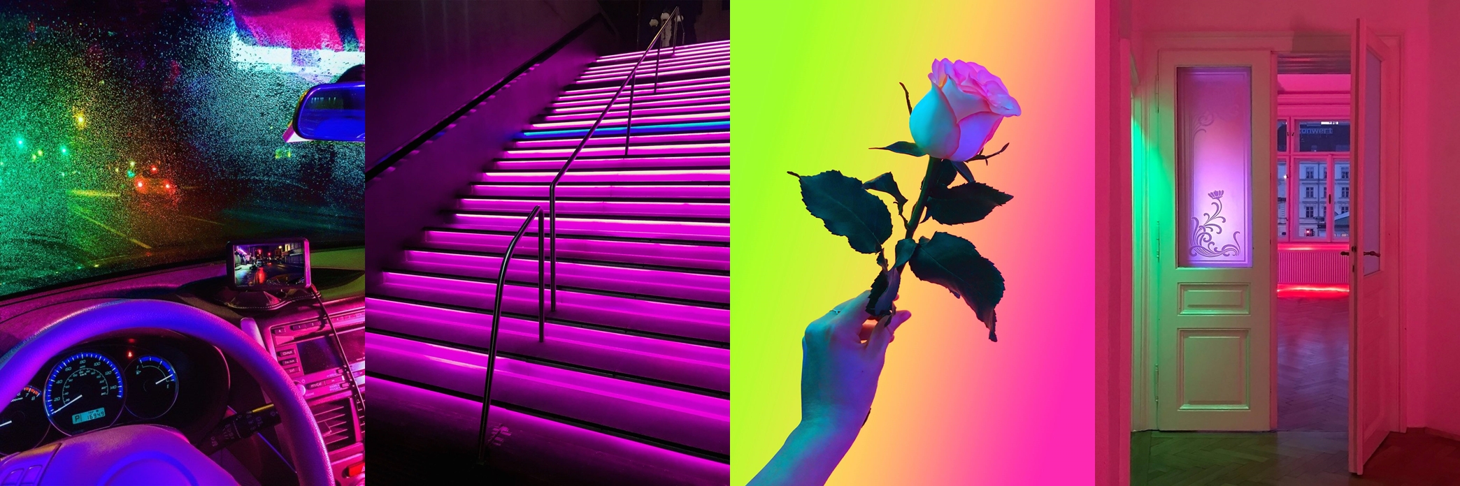 signe-pierce-collage-1